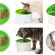 Catit Multi-Cat Feeder | $3 | Amazon